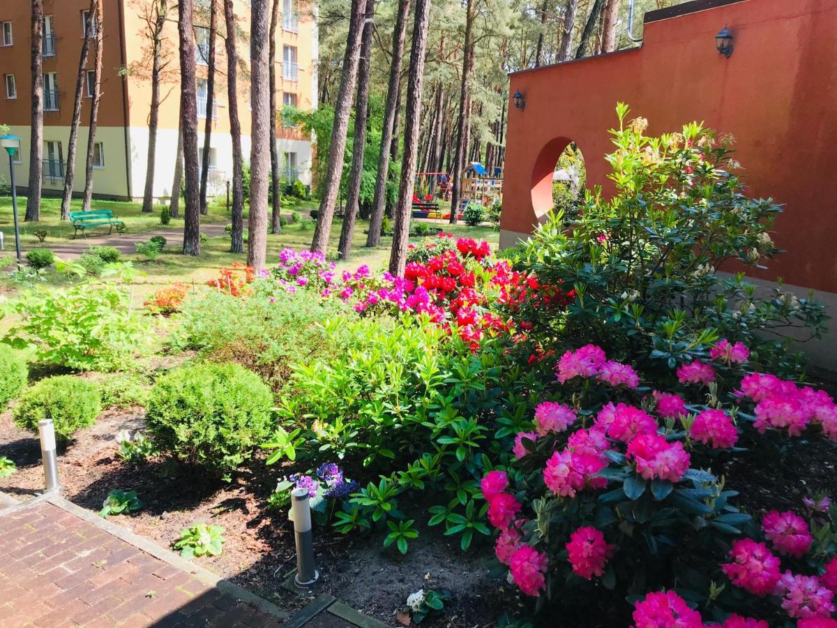מידז'יוודז'י Millennium Health Resort & Spa מראה חיצוני תמונה